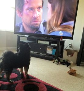 General Hospital Sumo