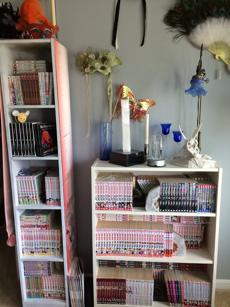 Manga shelves
